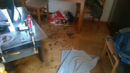 Sanace bytu po zemřelém